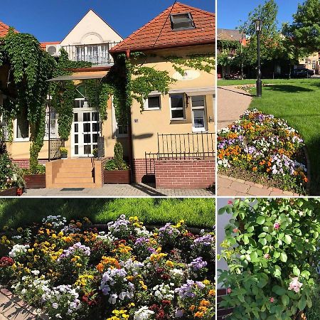 Tulipan Villa Panzio Szolnok Luaran gambar