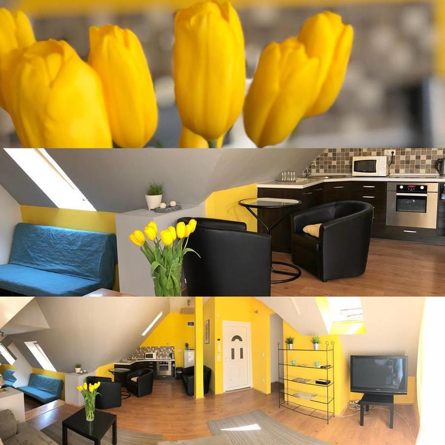 Tulipan Villa Panzio Szolnok Luaran gambar