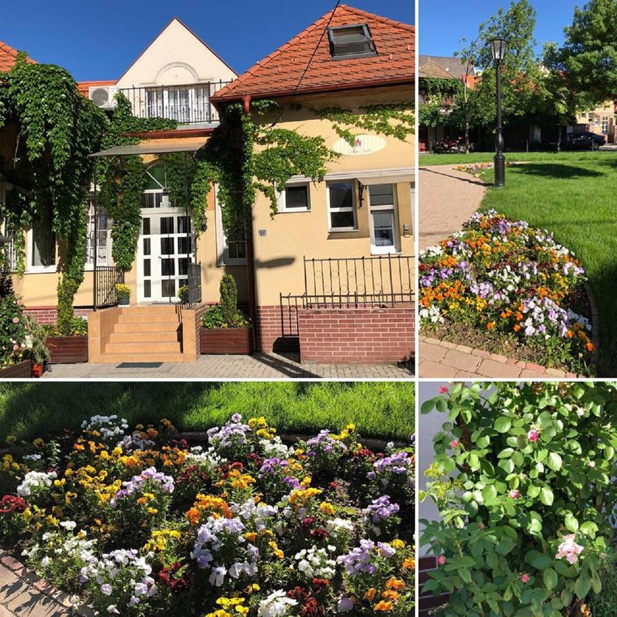 Tulipan Villa Panzio Szolnok Luaran gambar